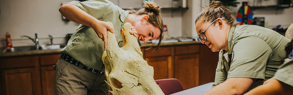 Zoo Tech students investigating animal bones