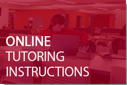 Tutoring Instructions Online