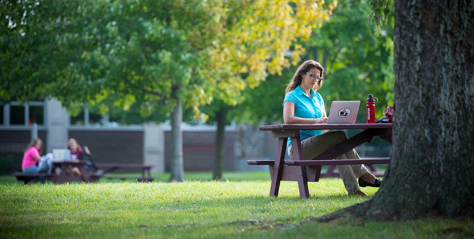 Student at picnic bench working on laptop